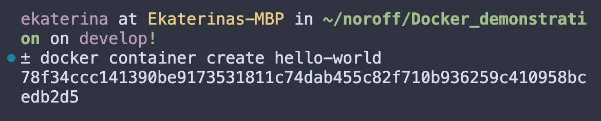 Docker create command example