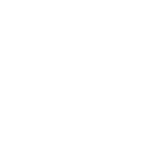 GitHub logomark in white