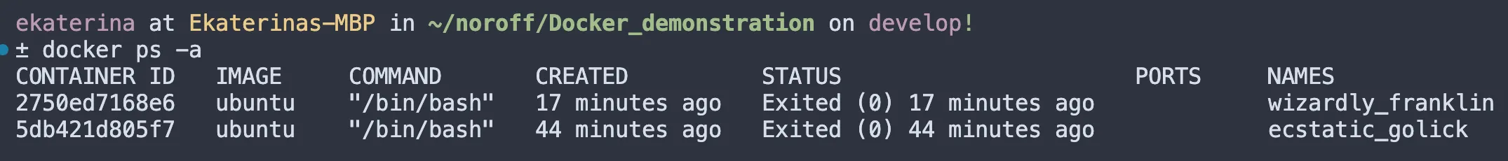 Another Docker ps -a command example