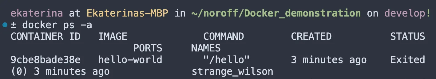 Docker ps -a command example