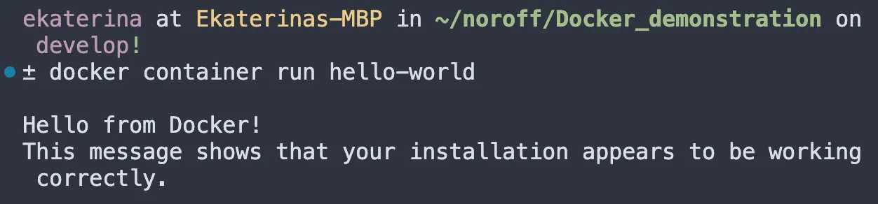 Docker run command example
