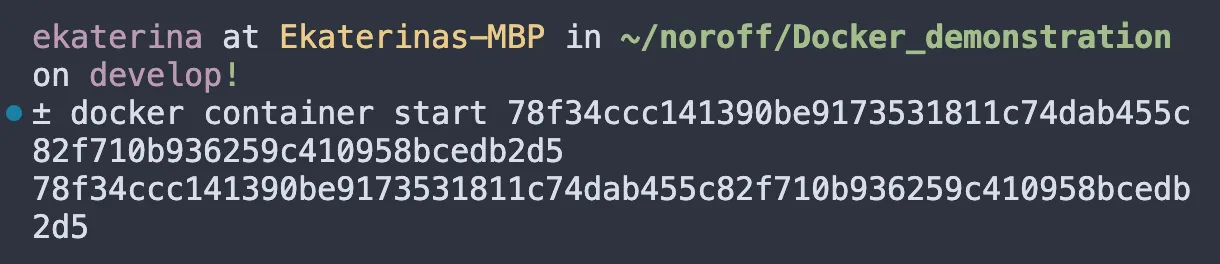 Docker start command example