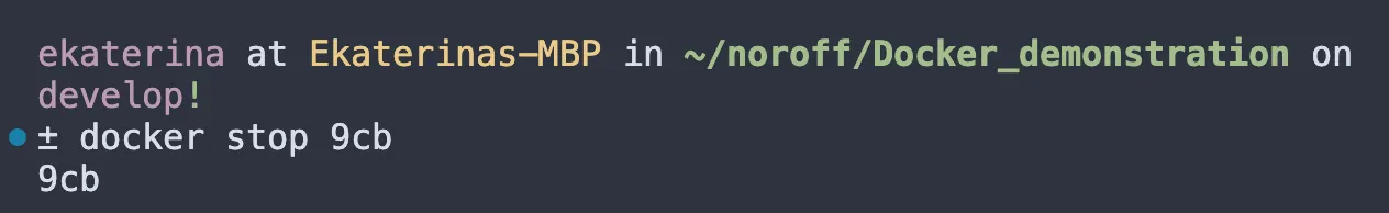Docker stop command example